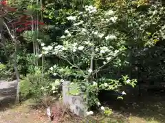 石清水八幡宮の自然