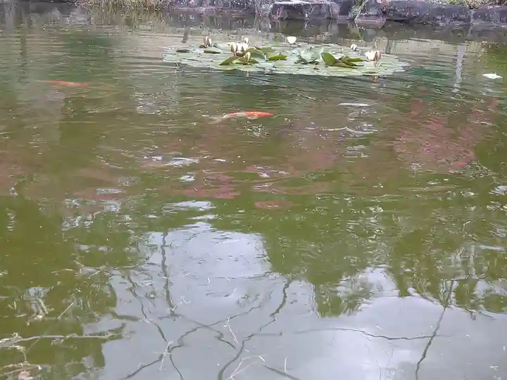 國鉾神社の景色