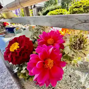 豊景神社(福島県)(2023年10月20日(金) 08時29分00秒投稿)