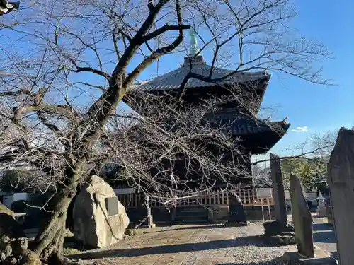 吉祥寺(東京都)
