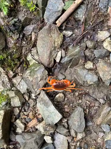 聖神社(高知県)