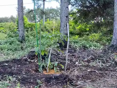 人舞神社(北海道)