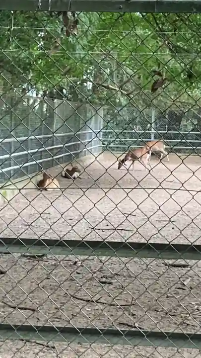 鹿島神宮(茨城県)
