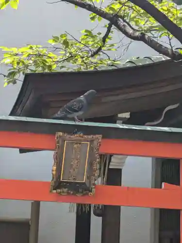 榊神社(東京都)