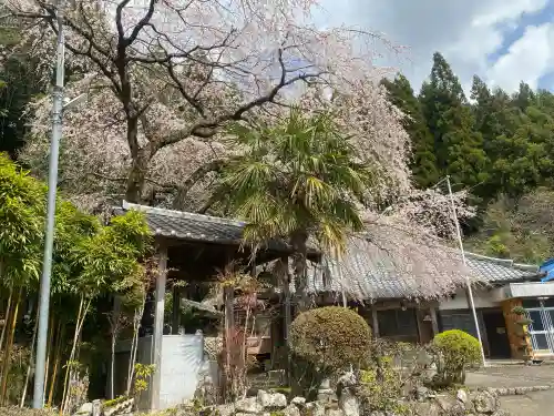 瑞岩寺の{uncategorized: "未分類", other: "その他", undefined: "問題あり", building: "その他建物", grave: "お墓", sacred_gate: "鳥居", guardian: "狛犬", statue: "像", buddha: "仏像", history: "歴史", nature: "自然", garden: "庭園", animal: "動物", pagoda: "塔", temizu: "手水舎", mountain_gate: "山門・神門", sanctuary: "本殿・本堂", subordinate: "末社・摂社", art: "芸術", scenery: "景色", jizo: "地蔵", ema: "絵馬", goshuin: "御朱印", omikuji: "おみくじ", items: "授与品その他", amulet: "お守り", goshuincho: "御朱印帳", eats: "食事", festival: "お祭り", votive_dance: "神楽", shichigosan: "七五三参", wedding: "結婚式", experience: "体験その他", initially: "初詣", around: "周辺", anti_infection: "感染症対策"}