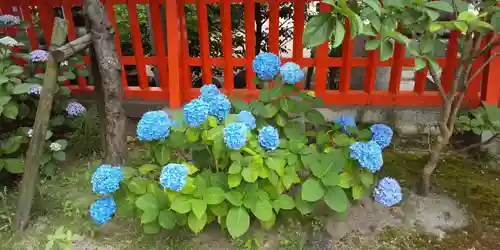 水鏡天満宮の自然