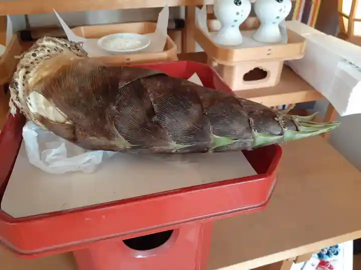 伏木香取神社(茨城県)