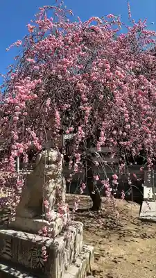 屯倉神社(大阪府)