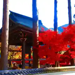 清水寺の建物その他