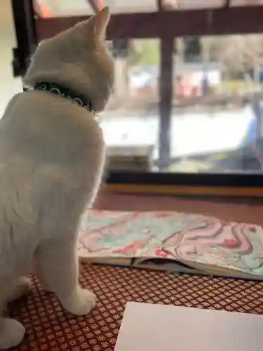  鳳仙寺(栃木県)