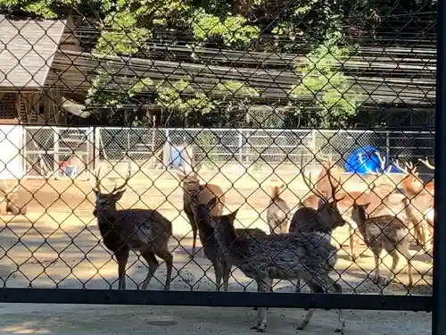 鹿島神宮(茨城県)