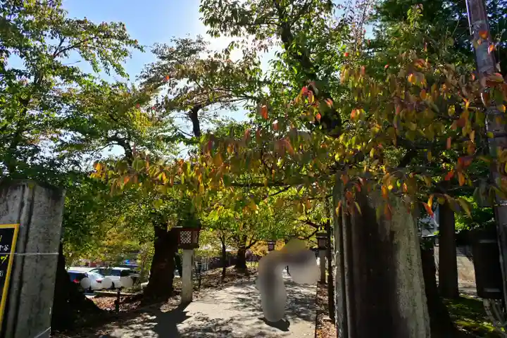 彌彦神社(新潟県)