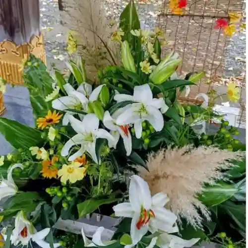彌彦神社　(伊夜日子神社)(北海道)