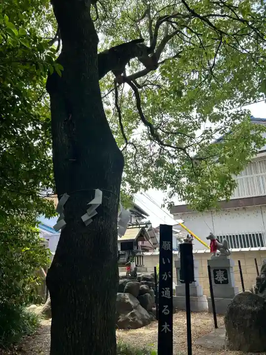 玉三稲荷神社(三重県)