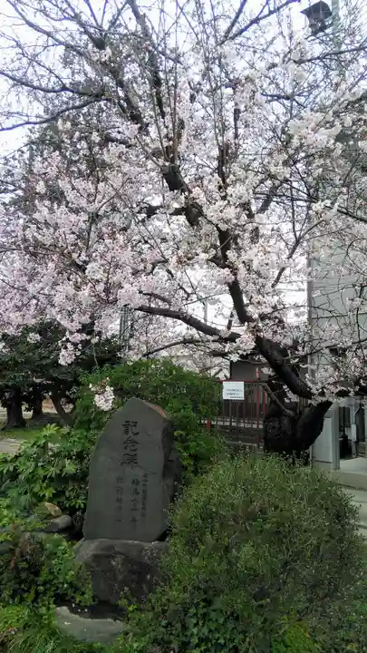 石和八幡宮(官知物部神社)の自然