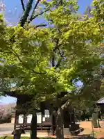 伏木香取神社の自然