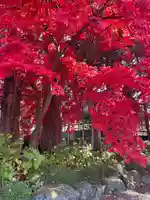 長圓寺(長野県)