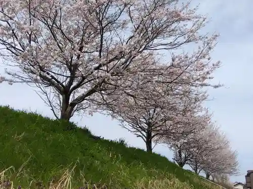 杉杜白髭神社(福井県)