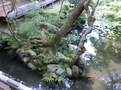 禅林寺（永観堂）の庭園