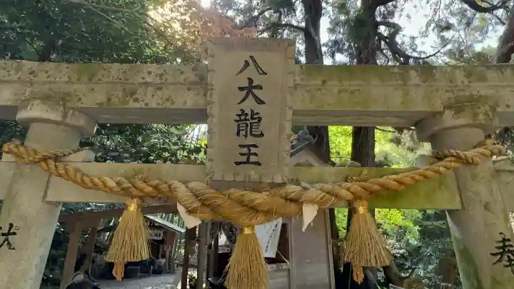 神龍八大龍王神社(熊本県)