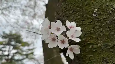 止々井神社(岩手県)