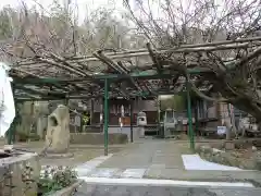 玉泉寺の自然