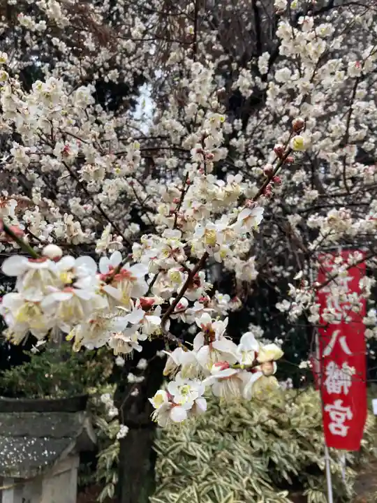 長沼八幡宮(栃木県)