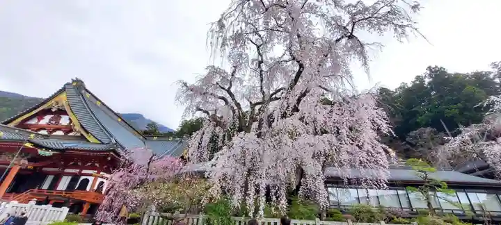 久遠寺(山梨県)