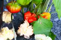 三津厳島神社の手水舎