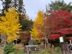 瑞巌寺の自然