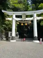 宝登山神社(埼玉県)
