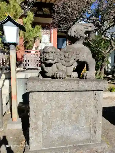 千住本氷川神社の狛犬