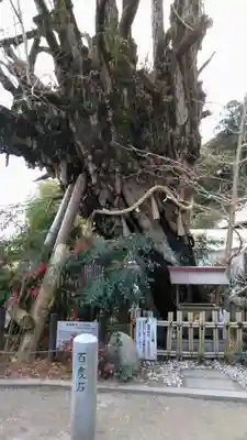 葛城一言主神社(奈良県)