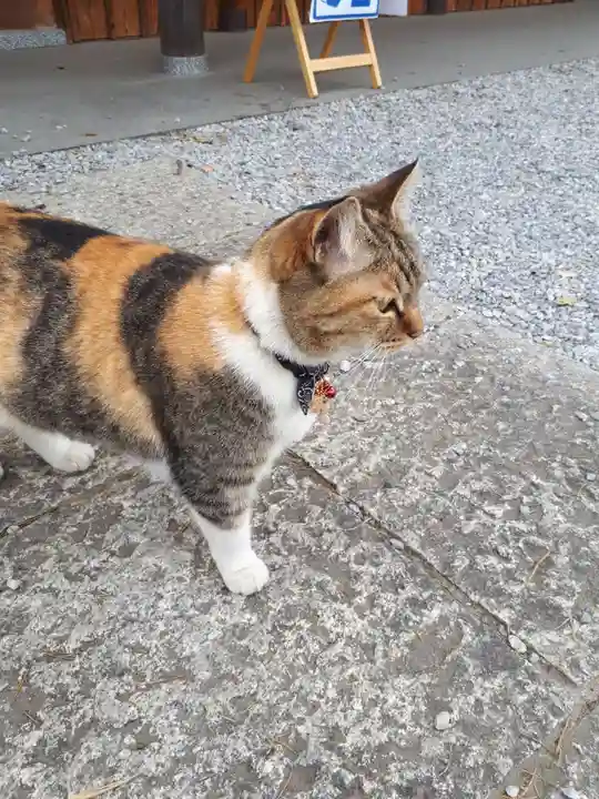 前玉神社の動物