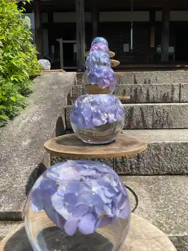 般若寺 ❁﻿コスモス寺❁の芸術