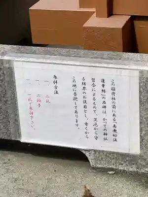 阿蘇白水龍神權現~白蛇神社~の歴史