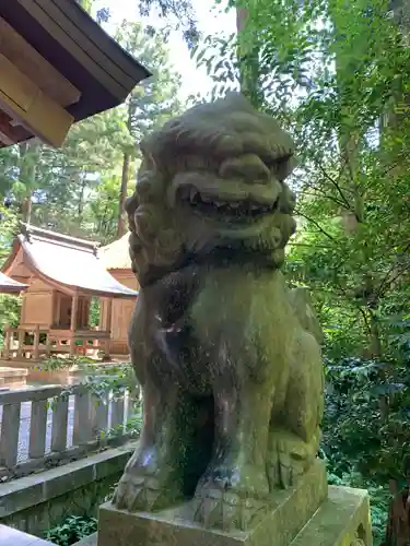 彌彦神社の狛犬