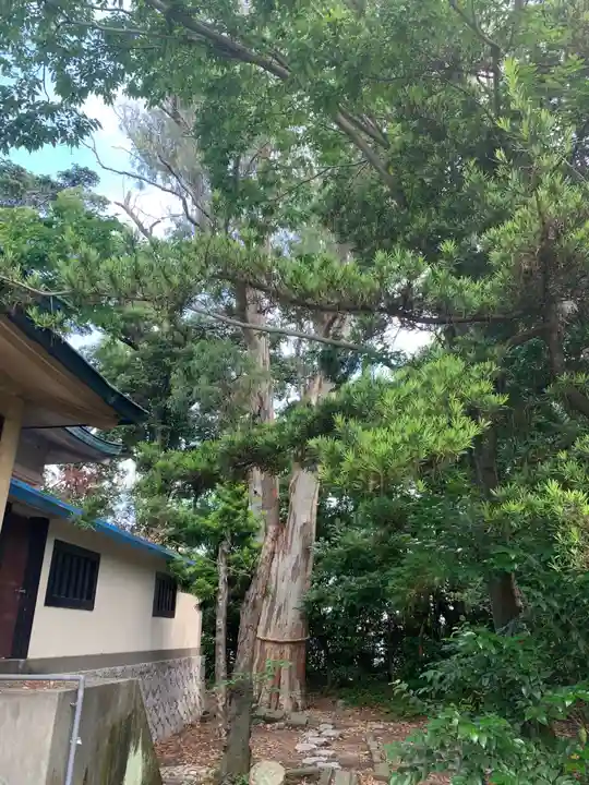 元城町東照宮の自然