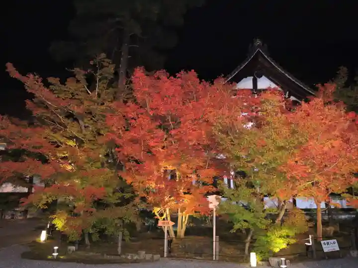 高台寺(高台寿聖禅寺・高臺寺)(京都府)