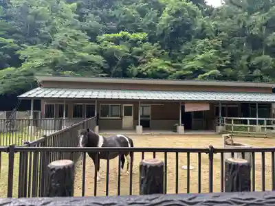 鳥取東照宮（旧樗谿神社）(鳥取県)
