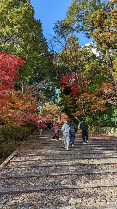 光明寺(粟生光明寺)(京都府)