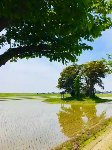 愛宕神社の周辺