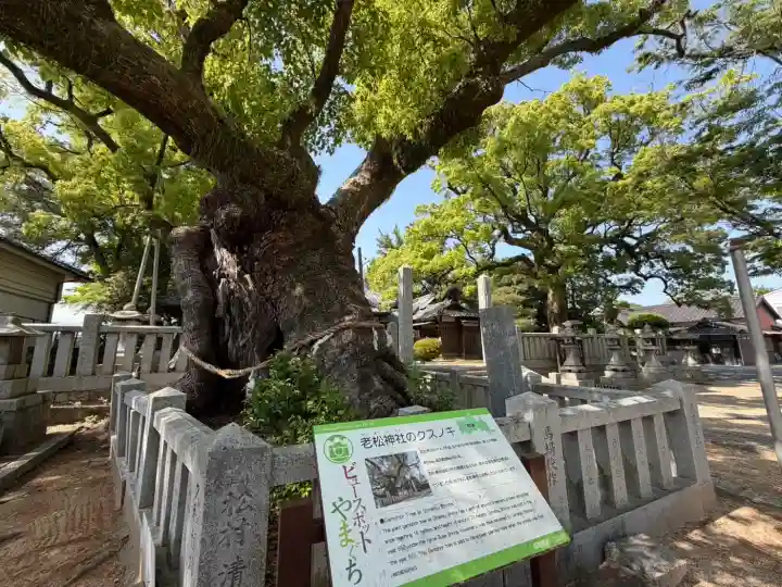 老松神社の{uncategorized: "未分類", other: "その他", undefined: "問題あり", building: "その他建物", grave: "お墓", sacred_gate: "鳥居", guardian: "狛犬", statue: "像", buddha: "仏像", history: "歴史", nature: "自然", garden: "庭園", animal: "動物", pagoda: "塔", temizu: "手水舎", mountain_gate: "山門・神門", sanctuary: "本殿・本堂", subordinate: "末社・摂社", art: "芸術", scenery: "景色", jizo: "地蔵", ema: "絵馬", goshuin: "御朱印", omikuji: "おみくじ", items: "授与品その他", amulet: "お守り", goshuincho: "御朱印帳", eats: "食事", festival: "お祭り", votive_dance: "神楽", shichigosan: "七五三参", wedding: "結婚式", experience: "体験その他", initially: "初詣", around: "周辺", anti_infection: "感染症対策"}