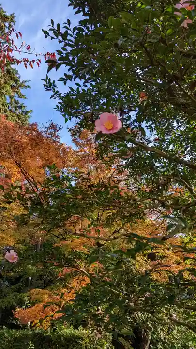 雲龍院(京都府)