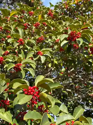鷲神社(茨城県)
