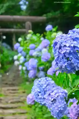 太平山神社(栃木県)