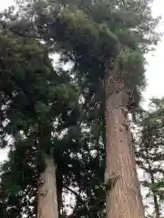 磯山神社(栃木県)