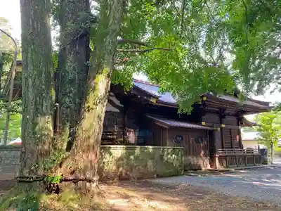 玉敷神社のその他建物