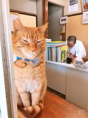 鵠沼伏見稲荷神社(神奈川県)