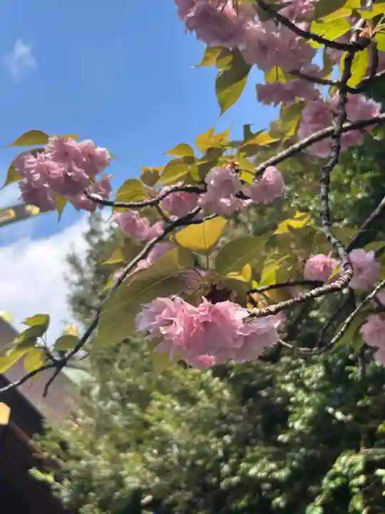 東京大神宮(東京都)